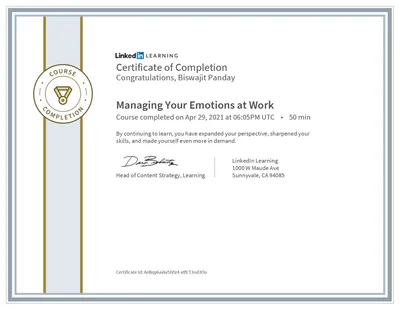 Managing Your Emotions at Work